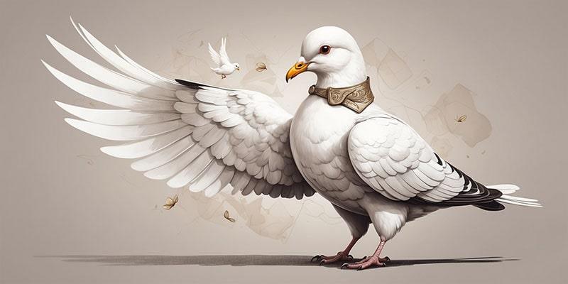 800_400_Pigeon_01-min.jpg